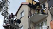 W czasie upału zamknęli psy na balkonie i w samochodzie
