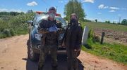 Kłusownik zastawił pułapkę. Przynętą był żywy gołąb