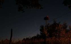 Nocne niebo w Lipicy z kometą Neowise.