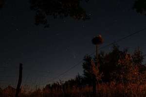 Zdjęcie Tygodnia nr 181. Nocne niebo z kometą nad Lipicą