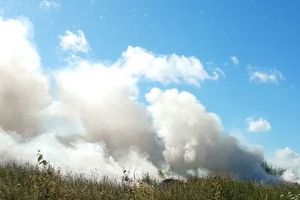 W Dąbrowie spłonęło ok. 2,5 ha zboża