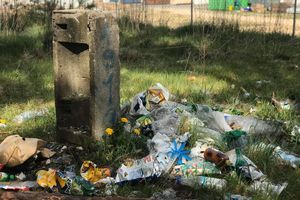 Fotopułapki i większe kary za wyrzucanie śmieci do lasów