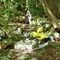 Dwie przyczepy śmieci, ponad dwie tony eternitu - to tylko część tego, co ostatnio znaleziono w lesie. Ministerstwo mówi "dość" i chce wyższych kar [VIDEO]