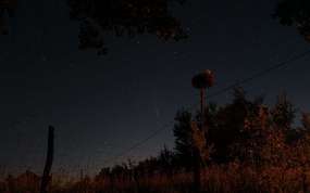 Nocne niebo w Lipicy z kometą Neowise.