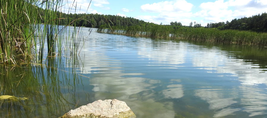 Nad jeziorem Dębno w Gaju koło Łąkorza