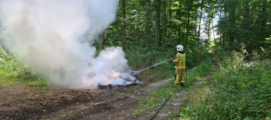 Pożar gasiły: jednostka ratowniczo-gaśnicza z Iławy oraz OSP Ząbrowo