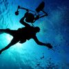 Oceanicze Ogrody: 60 lat Podwodnej podróży Alicji i Janusza Darmińskich