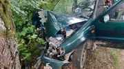 Śmiertelny wypadek - kierowca wjechał prosto w drzewo