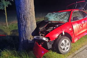 Trzech jechało, żaden nie kierował. Pijany kierowca uderzył w drzewo i wjechał do przydrożnego rowu