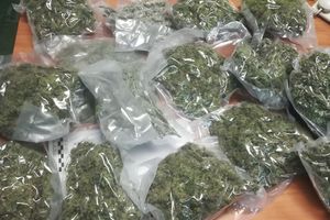 Policjanci zabezpieczyli ponad 26 kilogramów marihuany