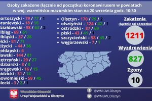 Koronawirus: bardzo dużo nowych zakażeń