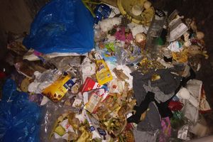 Jak segregujemy śmieci? Urzędnicy kontrolują nasze odpady