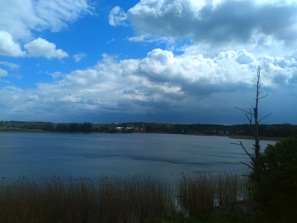 Jezioro Wipsowskie
