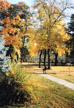 Jesień w parku w Bartoszycach.