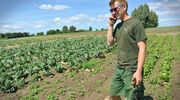 Spis rolny tylko telefonicznie 
