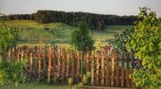 Wymień zdjęcie na prenumeratę: Kieźliny