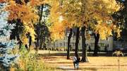 Zdjęcie Tygodnia nr 191. Jesień w parku w Bartoszycach