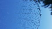 Wymień zdjęcie na prenumeratę: Mazurski poranek