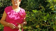 Łucja Rucińska, Sołtys Roku 2019: To mieszkańcy są naszą siłą