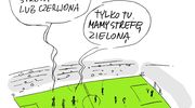 SPORT W TELEWIZJI