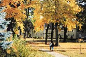 Zdjęcie Tygodnia nr 191. Jesień w parku w Bartoszycach