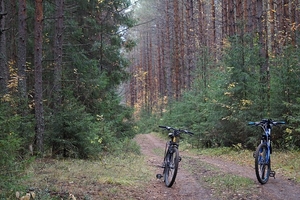 "Rower i ja" z obiektywem na rowerze po szlakach powiatu ełckiego