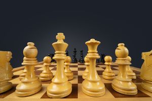 To już dwudzieste zadanie szachowe