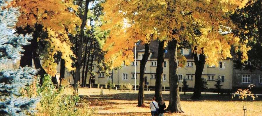Jesień w parku w Bartoszycach.