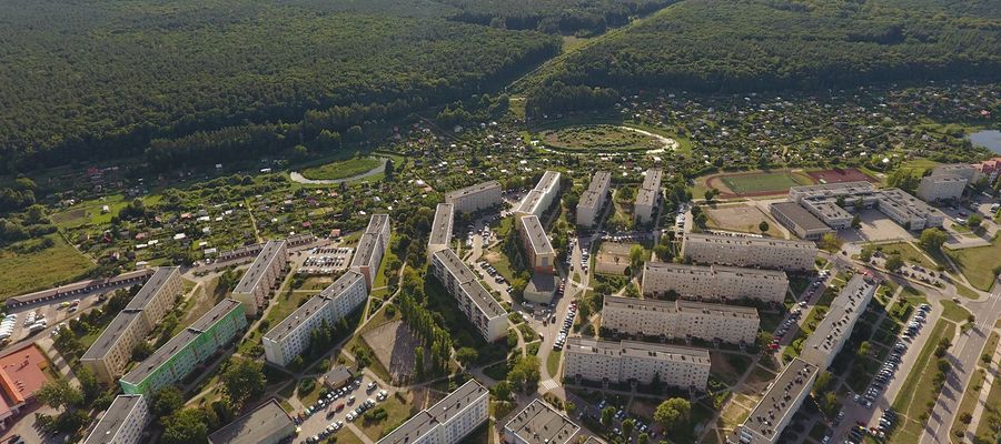 Ten las będzie sprzątany w sobotę