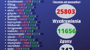 Trochę mniej koronawirusa
