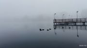 Wymień zdjęcie na prenumeratę: Poranek nad jeziorem Sajmino 