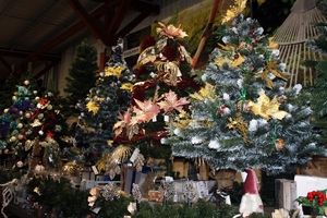 W Bricomarche Iława kupisz najpiękniejsze dekoracje świąteczne [foto]
