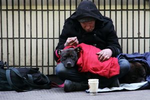 Bezdomny dostanie pomoc. Rusza infolinia z pomocą