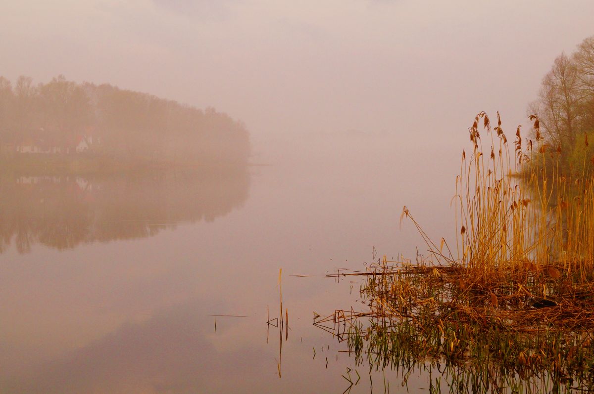 Poranna mgła nad jeziorem Bukwałd
