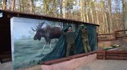 Wyjątkowy mural pojawił się w... lesie