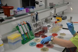 Laboratorium diagnostyczne i pracownia mikrobiologiczna na najwyższym poziomie