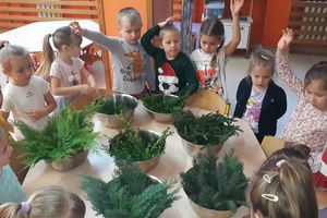 Dzień wiecznie zielonych roślin w Przedszkolu Miejskim w Nowym Mieście 