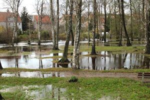 Pomysły na zagospodarowanie parku przy Gdańskiej. Laureaci konkursu wygrali lot motolotnią
