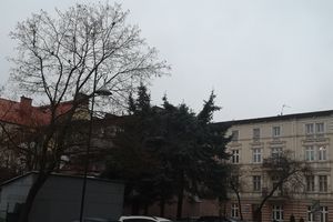 Trwa sezon grzewczy. Jaką mamy jakość powietrza?