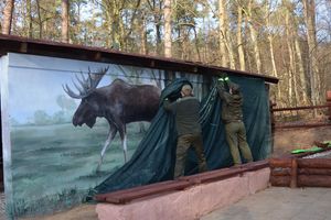 Wyjątkowy mural pojawił się w... lesie