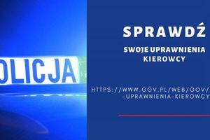 Sprawdź uprawnienia kierowcy na stronie gov.pl