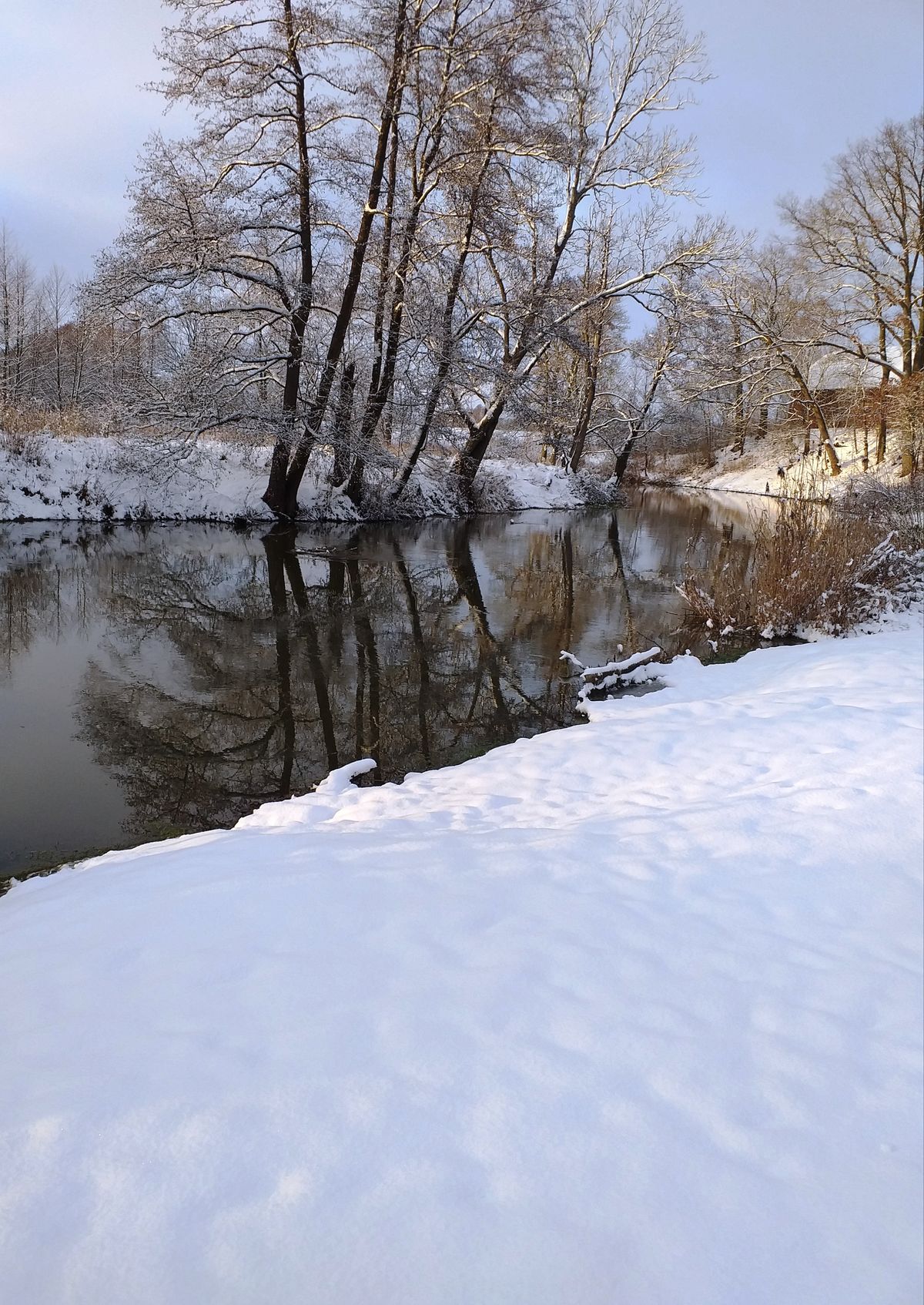 Zimowy Guber (Prętławki, gmina Sępopol)
