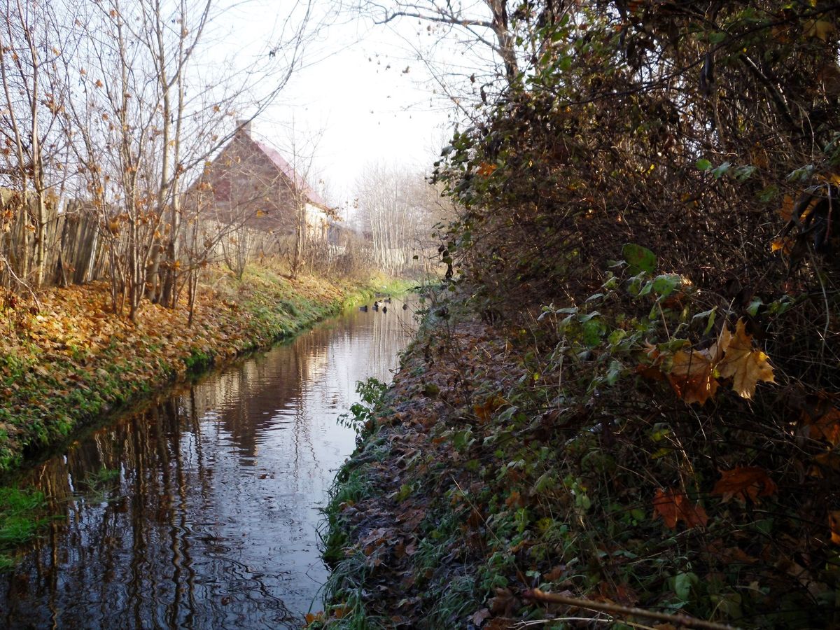 Napiwoda: Struga  Napiwodzka
