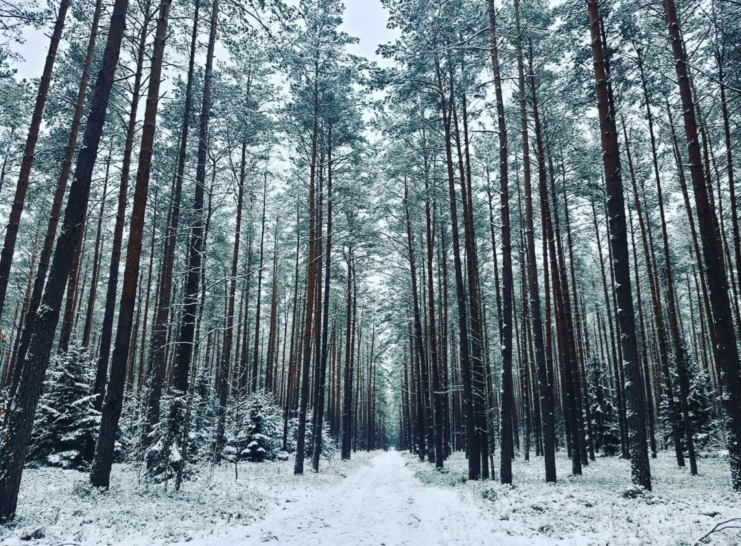 Mazury Pisz-Wiartel