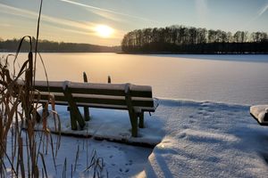 Piska za zdjęcie: Wejsuny