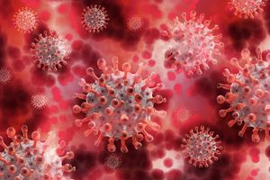 Koronawirus: Prawie 500 nowych zakażeń i kolejne śmiertelne przypadki