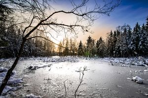 Goniec za zdjęcie: okolice Górowa Iławeckiego