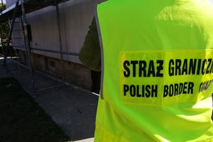 Podsumowanie kontroli legalności zatrudnienia