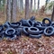 Lasy toną w tonach śmieci [SONDA]