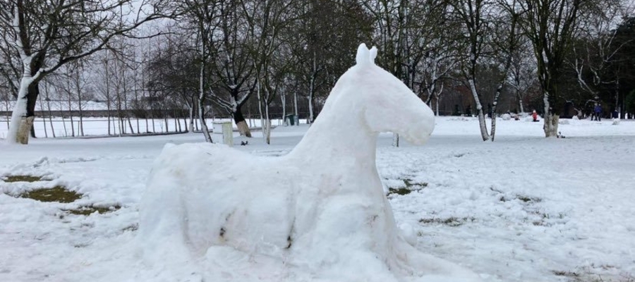Koń (ze śniegu) jaki jest, każdy widzi ;) Zdjęcie wykonane w stadninie w Tynwałdzie (gmina Iława)